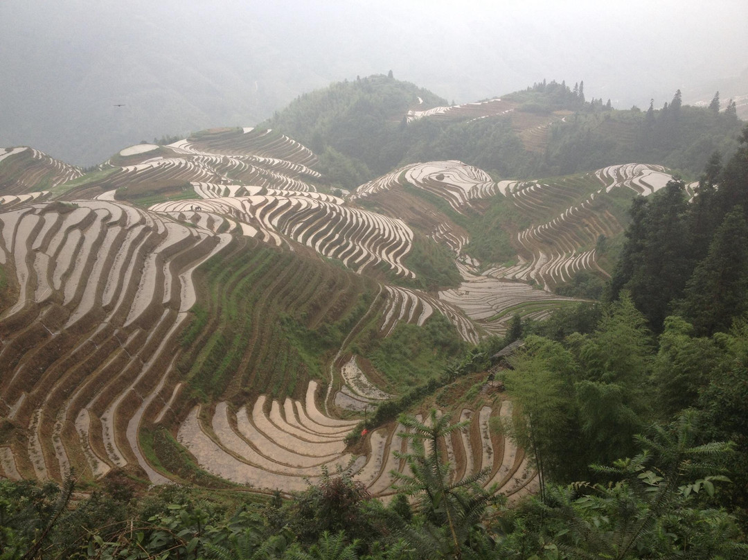 龙脊梯田景点图片