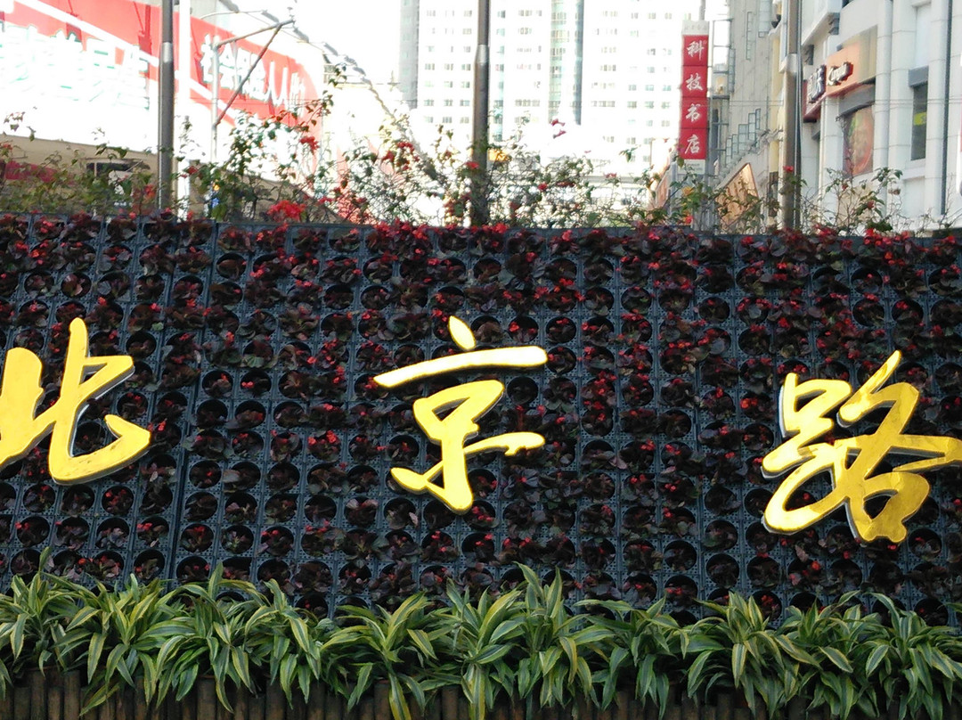 北京路购物区-广州市必去景点