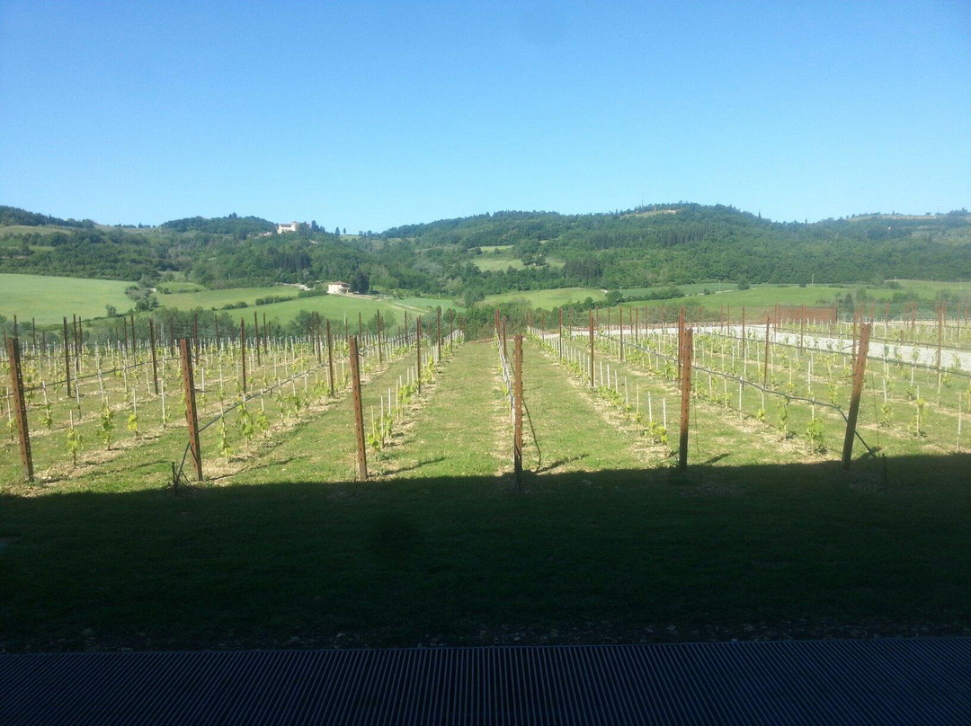 Antinori nel Chianti Classico景点图片