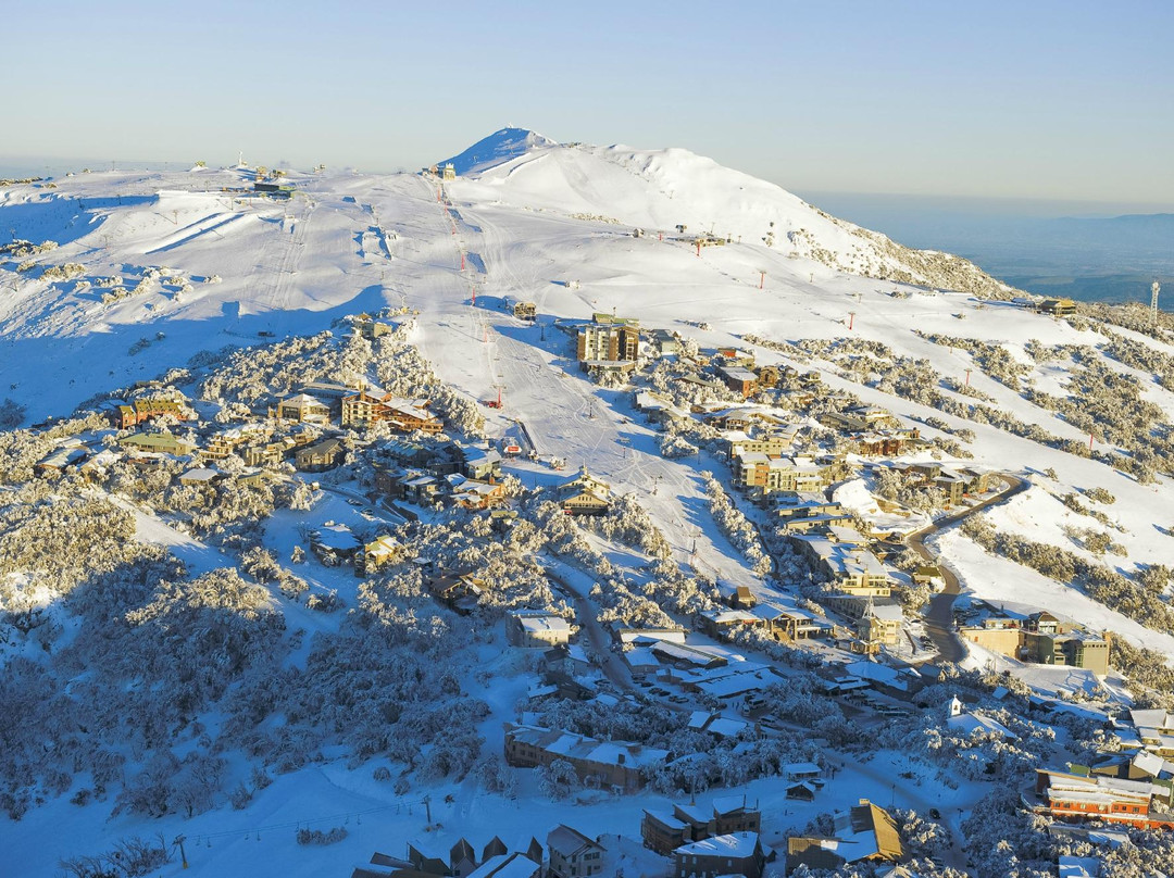 Mount Buller旅游攻略图片