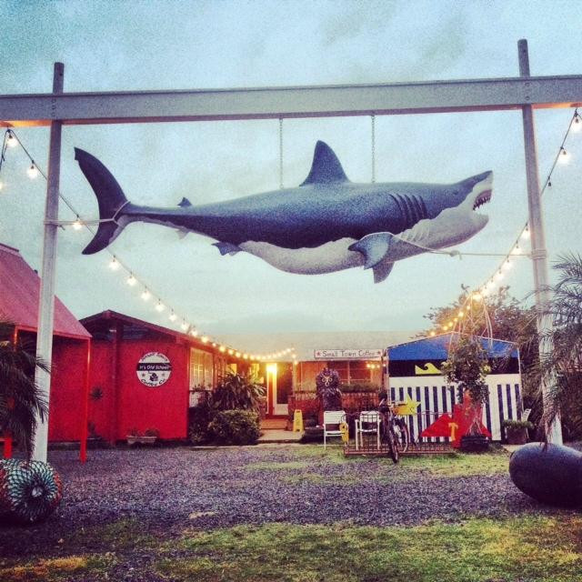 Kauai Products Fair-卡帕阿必去景点