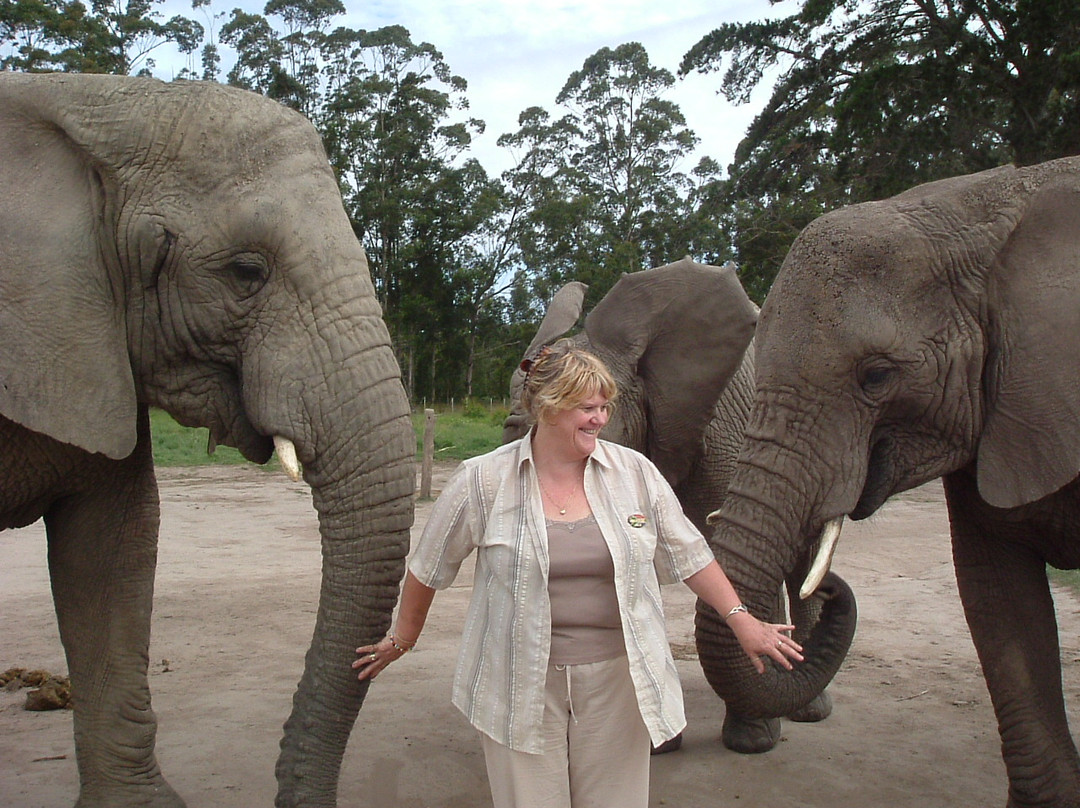 Umzantsi Afrika Tours-伊丽莎白港必去景点