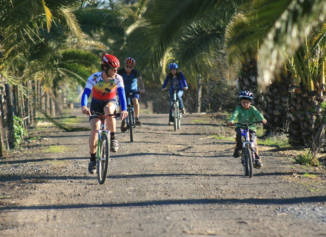 Alpaca Ciclismo-Curico必去景点