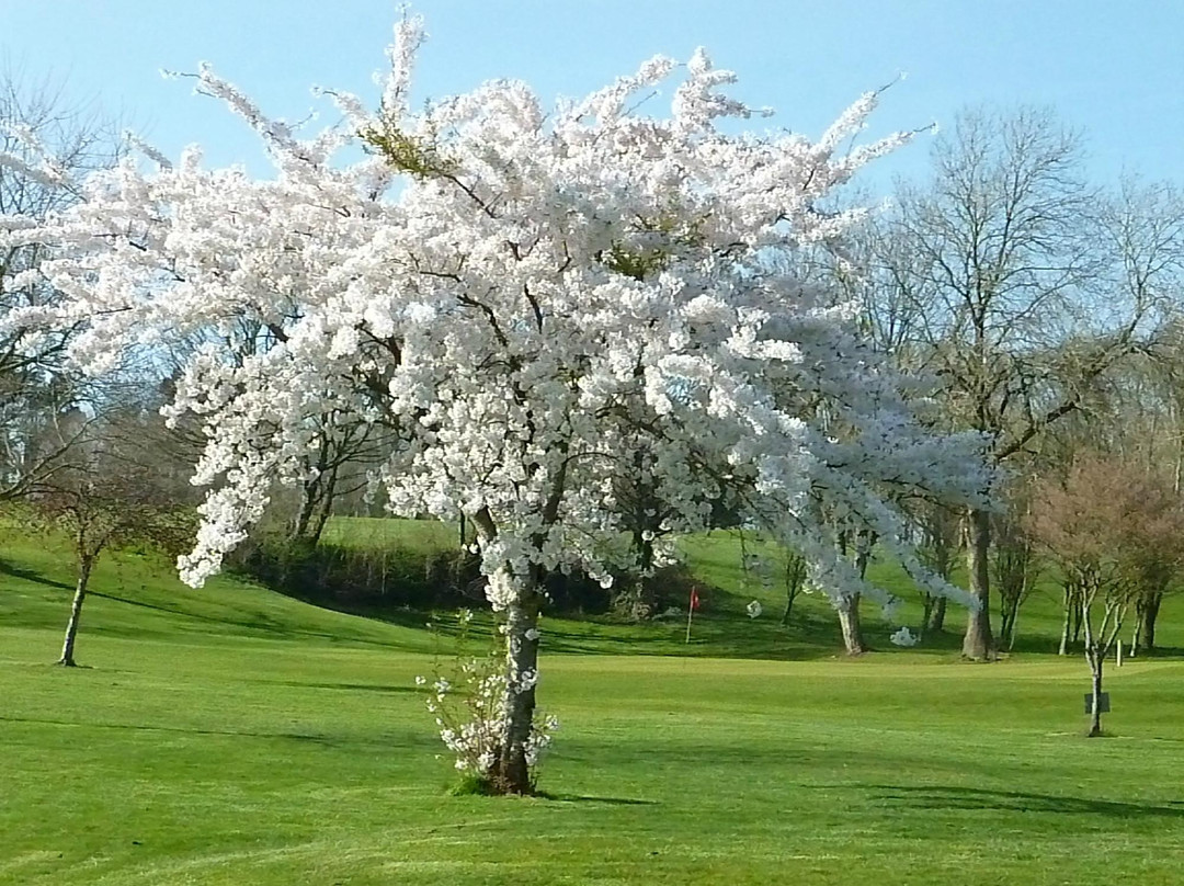 Coed-Y-Mwstwr Golf Club景点图片