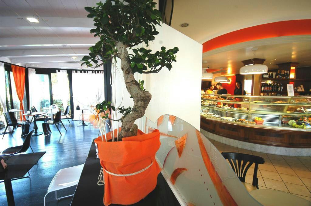 Jam cafe