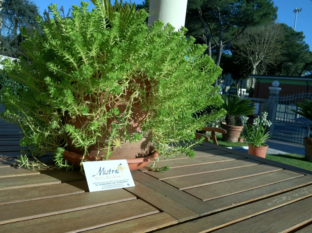 Bed & Breakfast Mistral主图