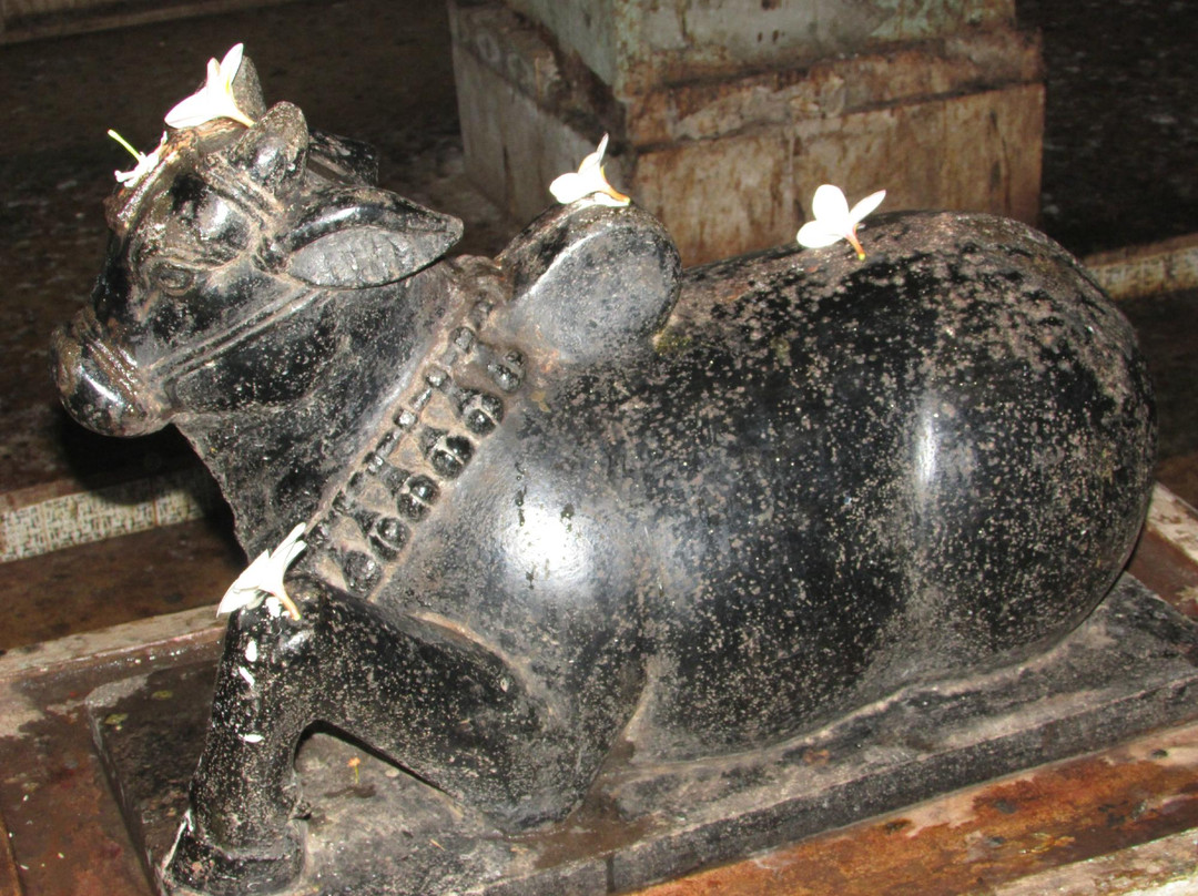 Vimleshwar Shiva Temple景点图片