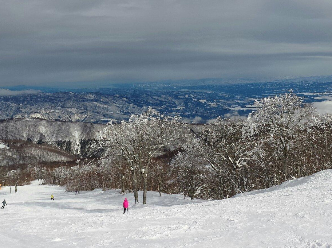 Nozawa Onsen Ski Resort-野泽温泉村必去景点