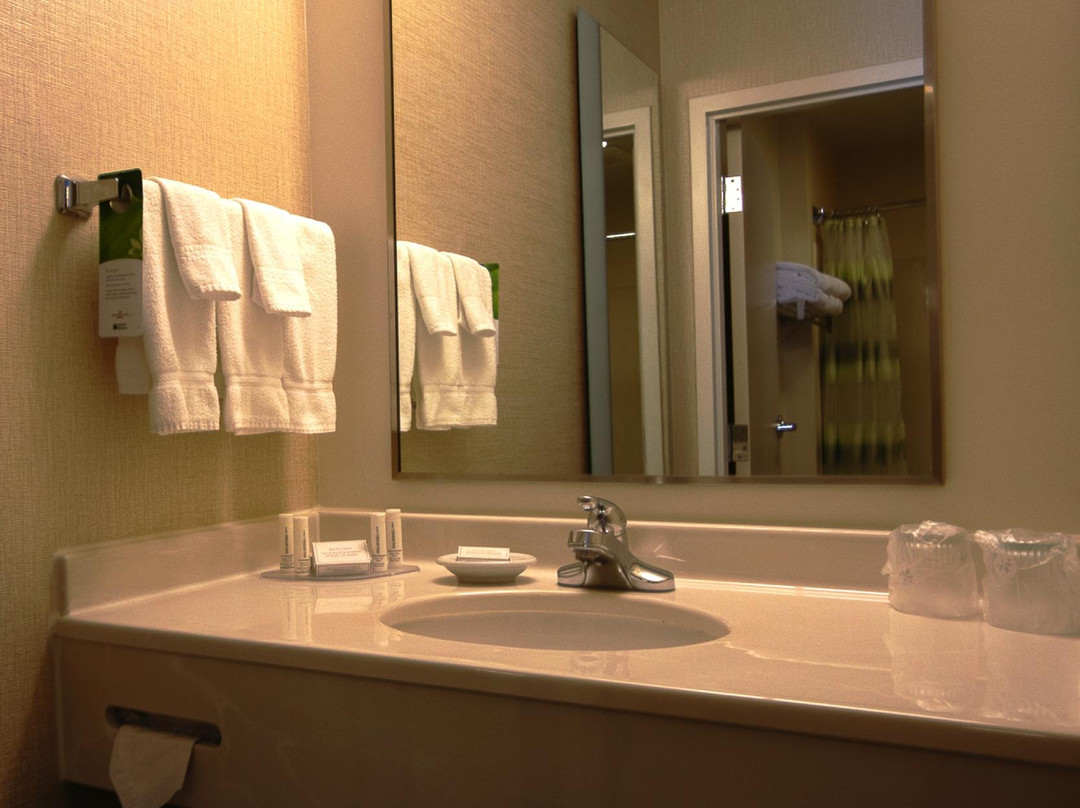 好时镇酒店住宿-SpringHill Suites by Marriott Hershey Near the Park