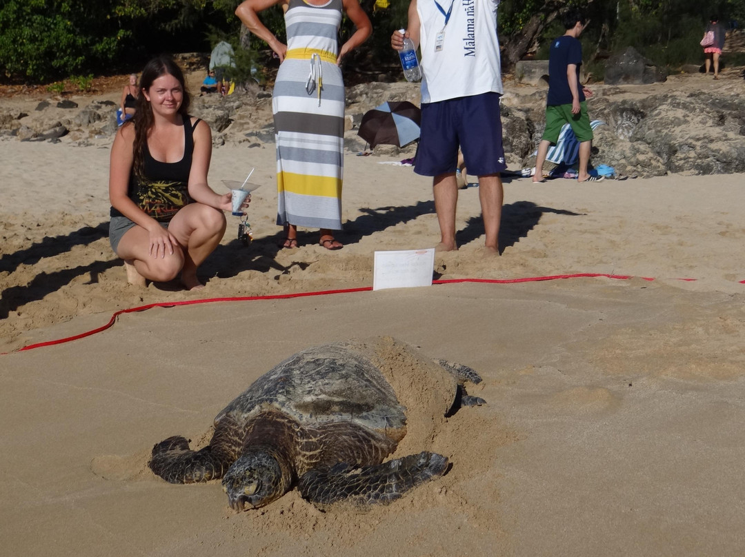 拉尼亚克雅海滩-哈雷瓦必去景点