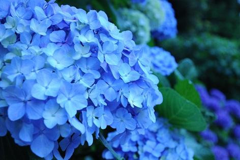 Asukayama Park-北区必去景点