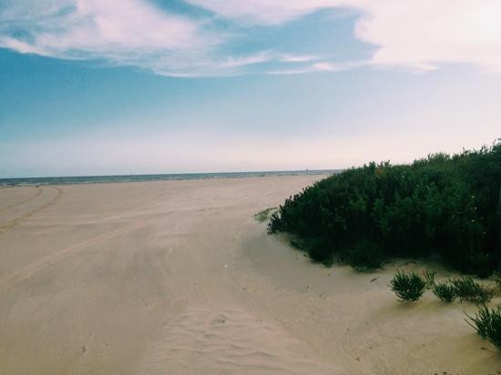 Sea Rim State Park-Port Arthur必去景点