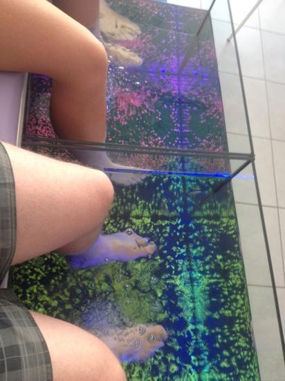 Fish Spa Blue-Nidri必去景点