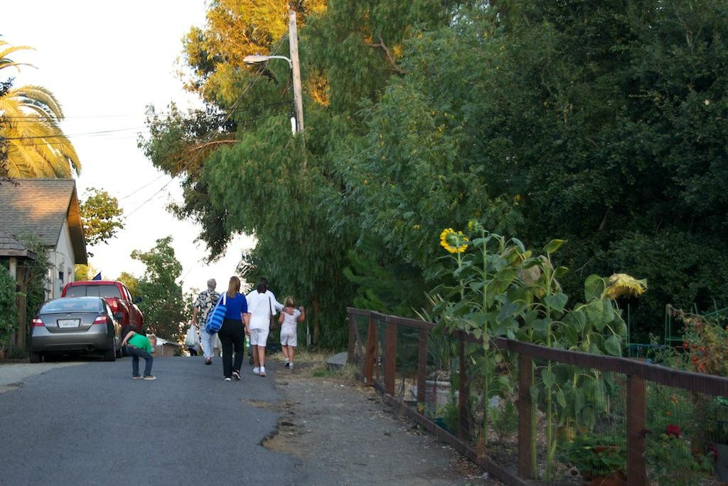 Benicia Certified Farmers Market-贝尼西亚必去景点