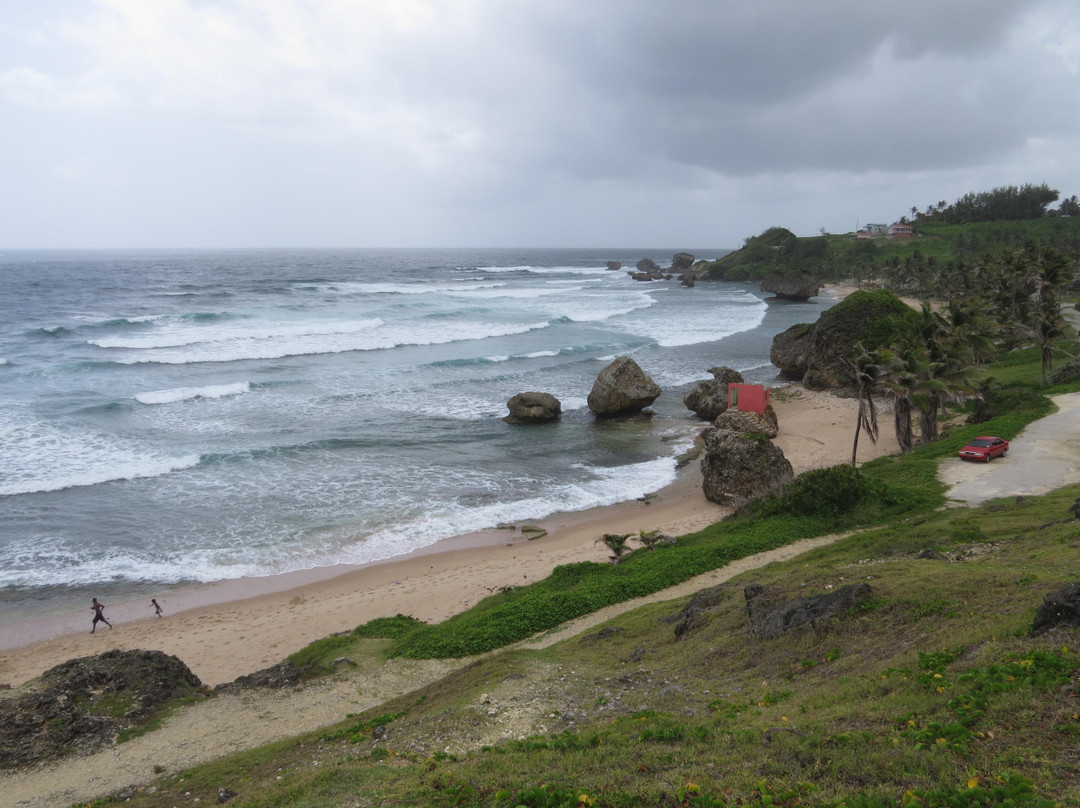 Carson's Taxi & Tour Service-基督城必去景点