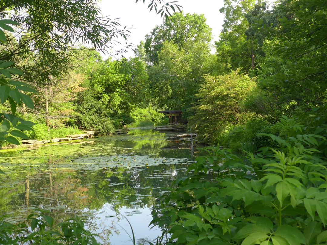 Alfred Caldwell Lily Pool-芝加哥必去景点