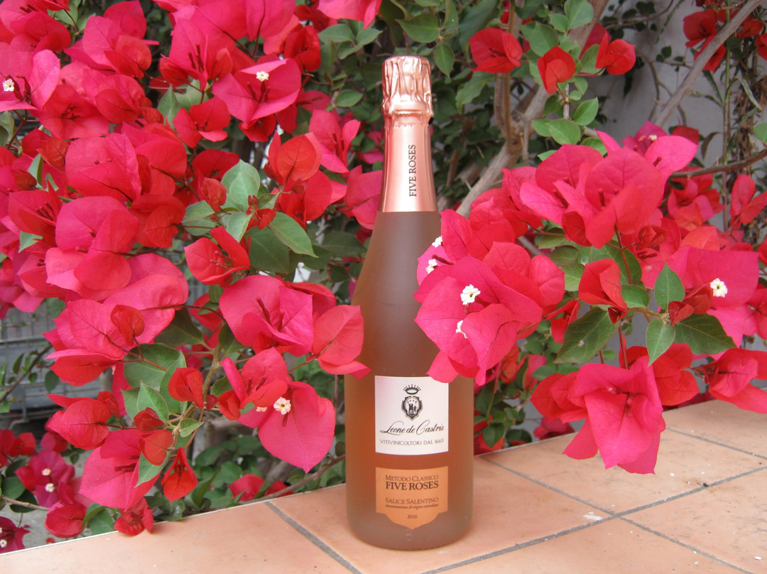 Leone de Castris Winery景点图片