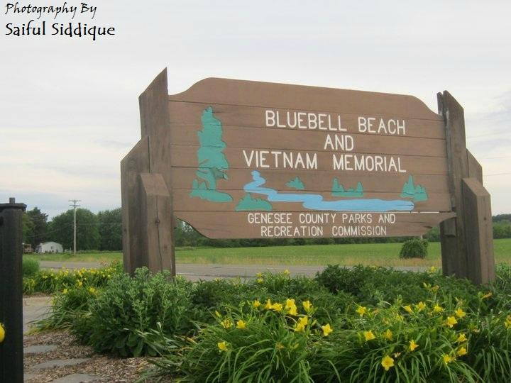 Bluebell Beach-弗林特必去景点