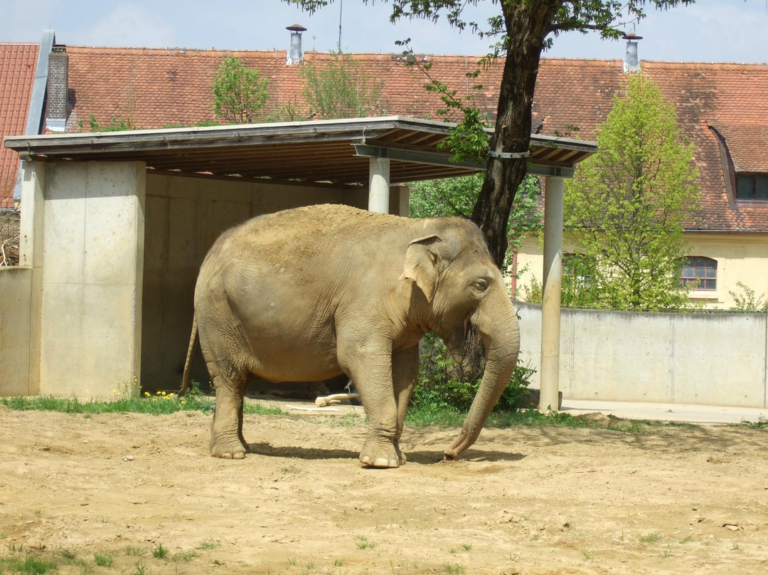 Augsburg Zoo景点图片