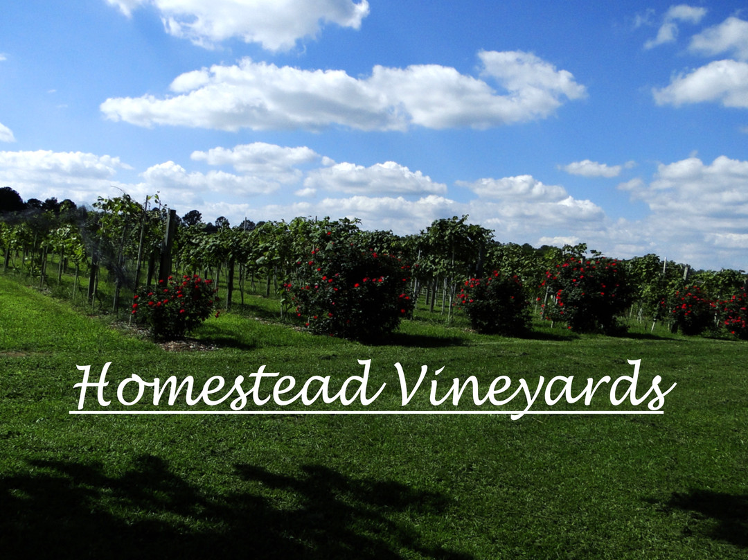 Homestead Vineyards-West Salem必去景点