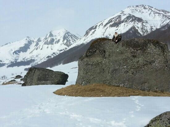 Parc Naturel Regional des Volcans d'Auvergne景点图片