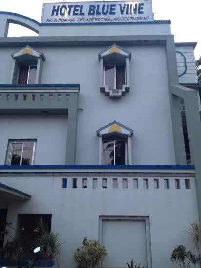 Blue Vine Hotel