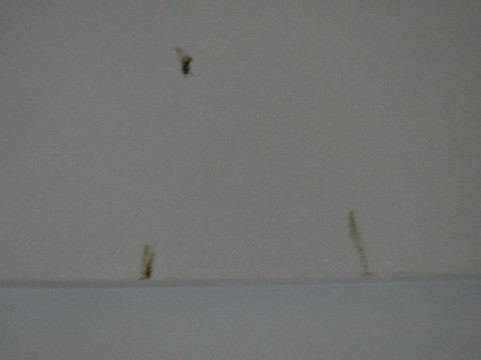 星海琪假日酒店主图