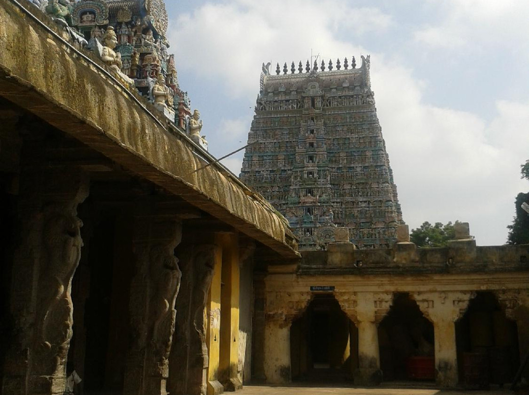 Sarangapani Temple景点图片