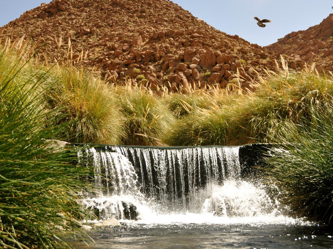 圣佩德罗-德阿塔卡马旅游攻略图片