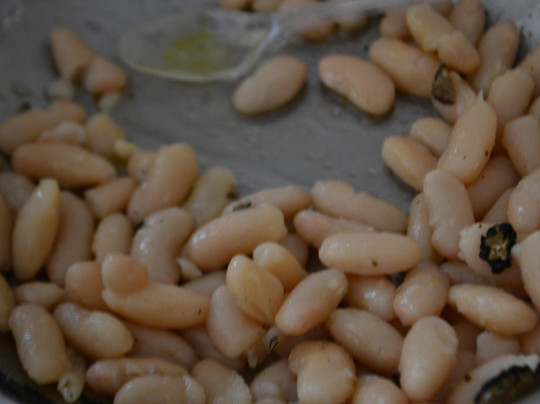 The Truffle Hunter-佛罗伦萨必去景点