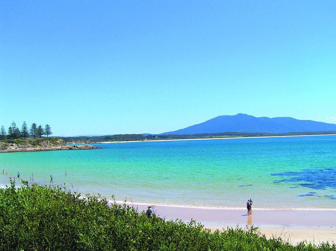 Bermagui Visitor Information Centre景点图片