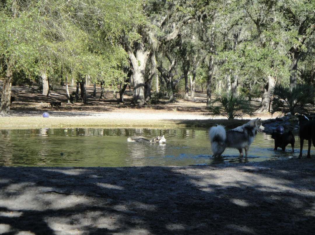 Bark Central Dog Park-因弗内斯必去景点
