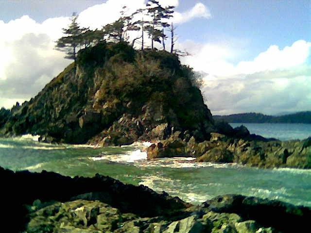 Bamfield Marine Sciences Centre景点图片