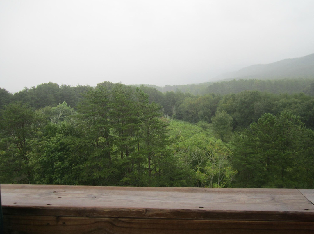 Ocoee Zipz-Benton必去景点