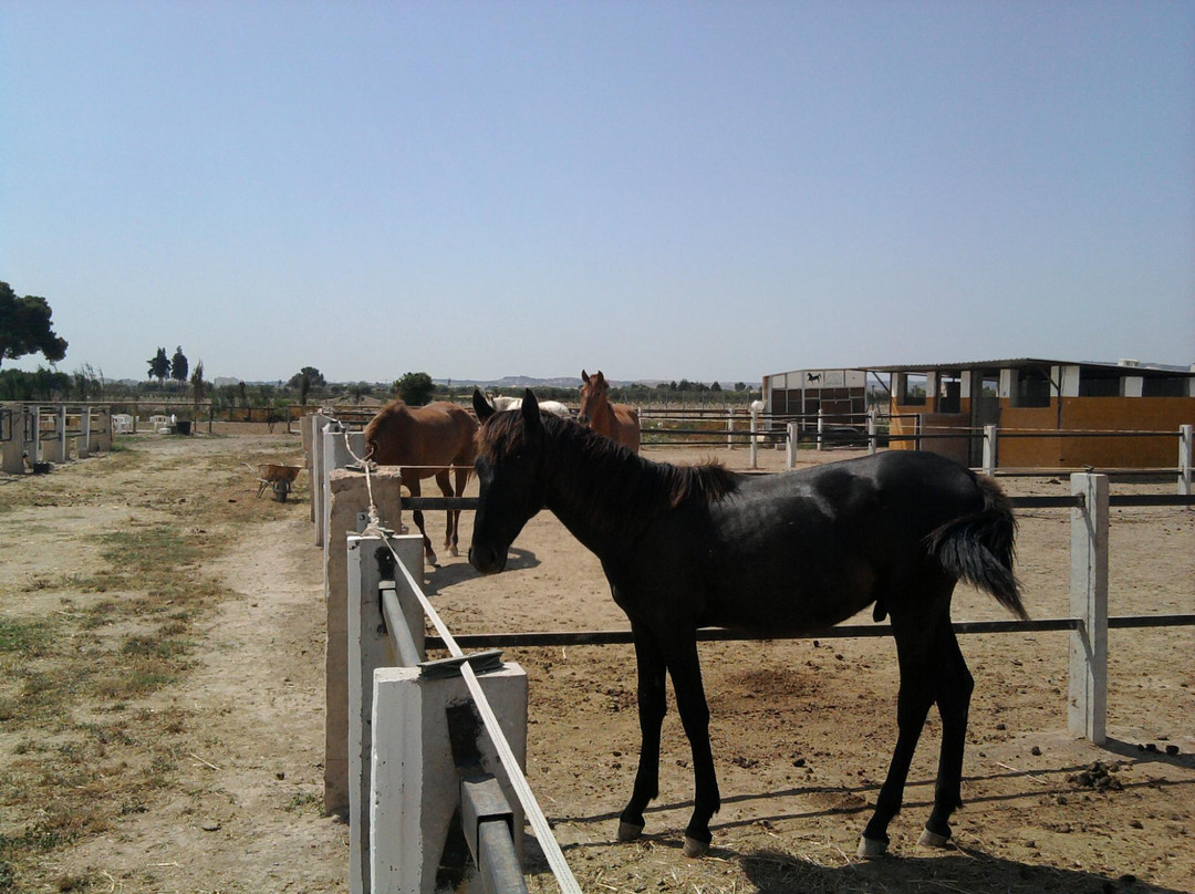 Finca Montana-Almoradi必去景点