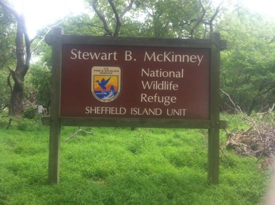 Sheffield Island Lighthouse-诺沃克必去景点