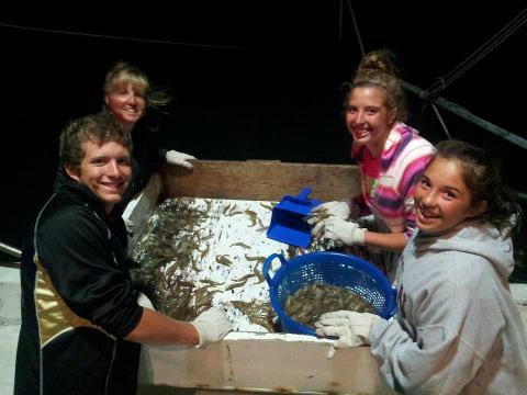 New River Shore Thing-Day Boat Tours-Sneads Ferry必去景点