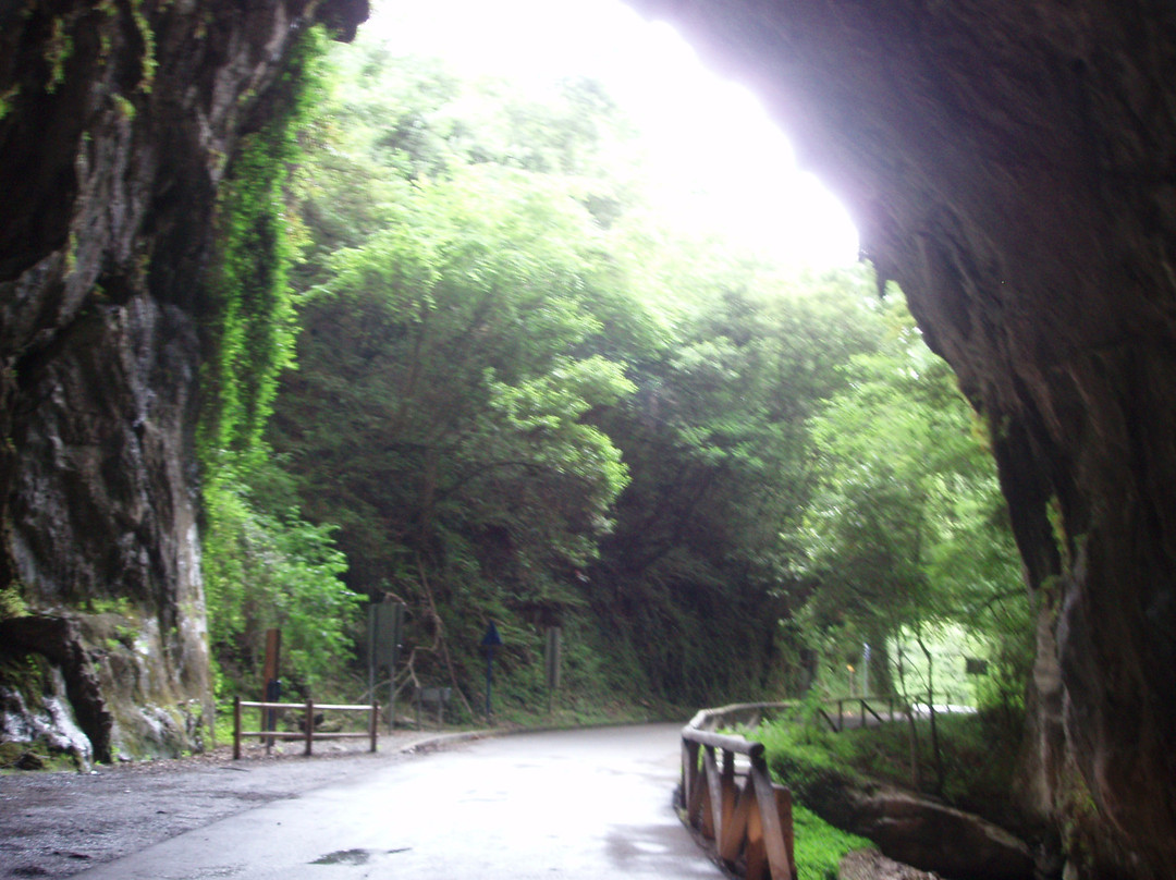 La Cuevona de Cuevas del Agua-里瓦德塞利亚必去景点