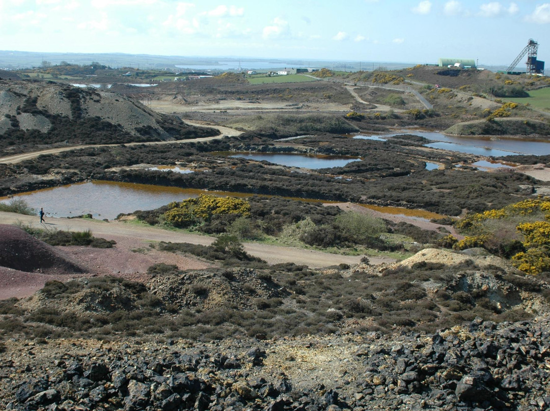 Amlwch Copper Kingdom景点图片