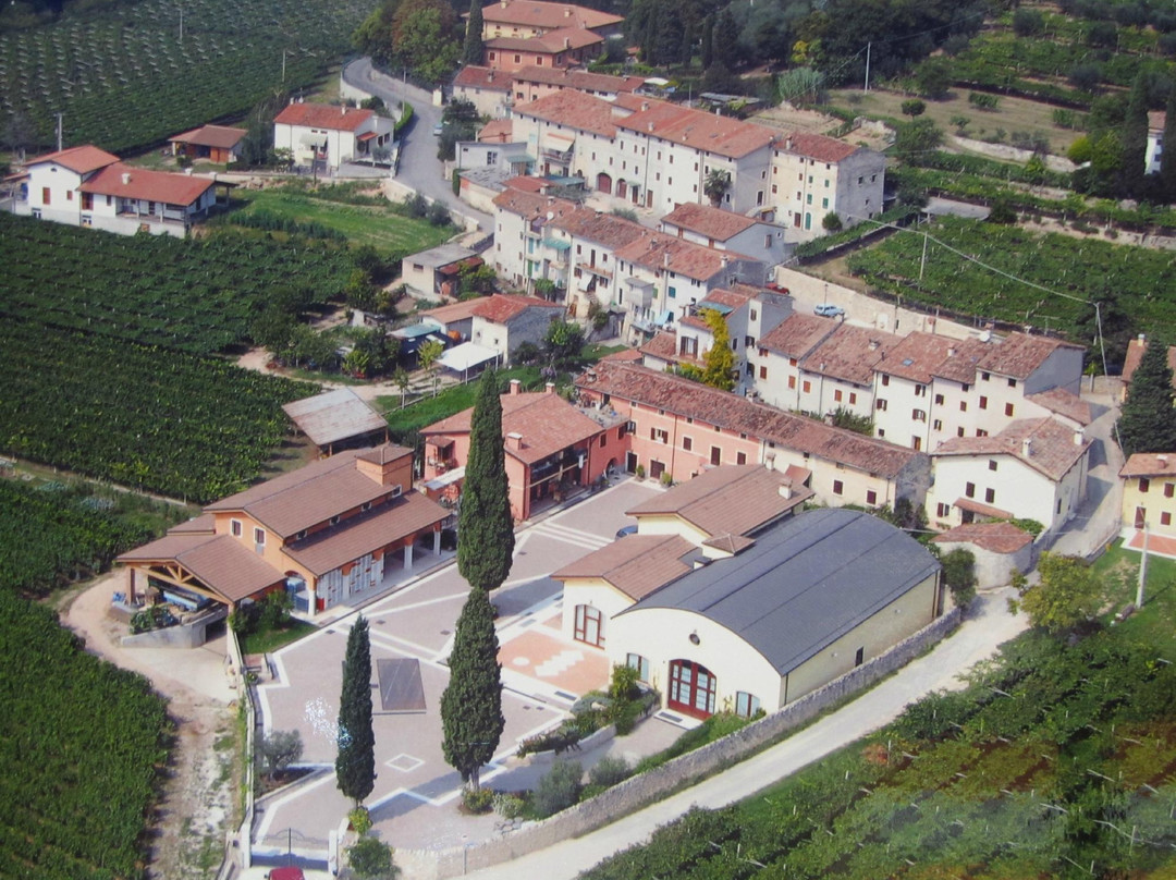 Azienda Agricola Valentina Cubi景点图片