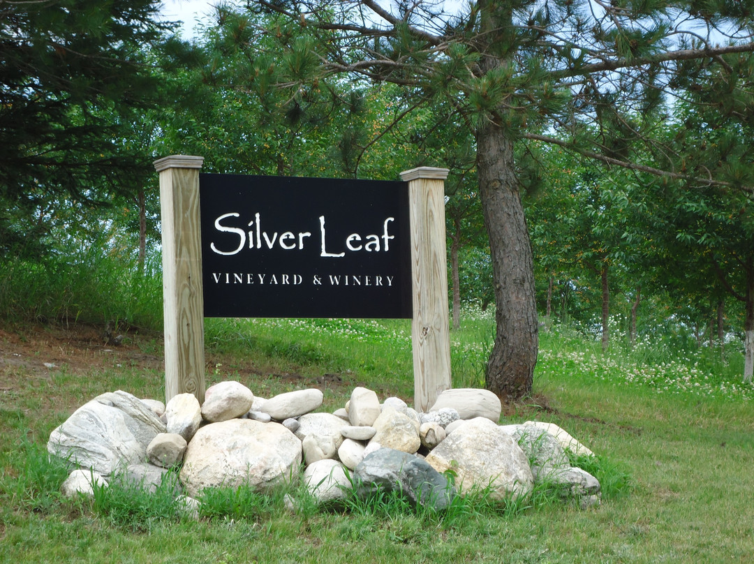 Silver Leaf Vineyard & Winery景点图片