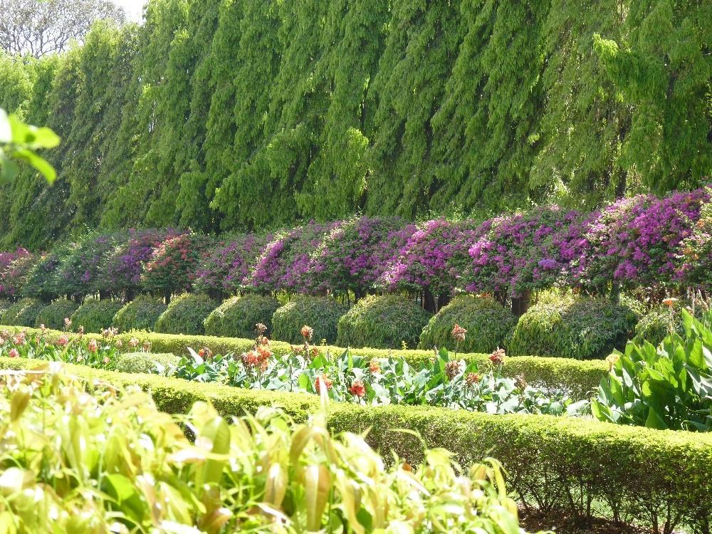 Lalbagh Botanical Garden景点图片
