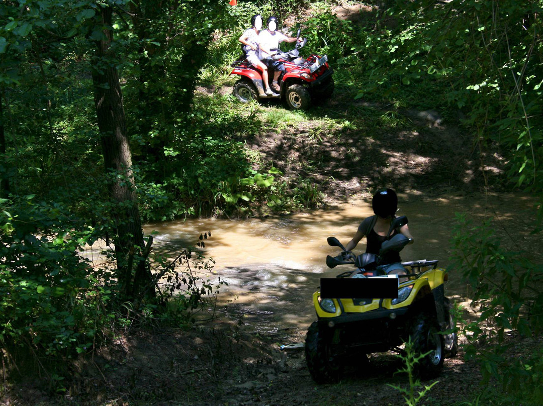 Quad Bike Excursions景点图片