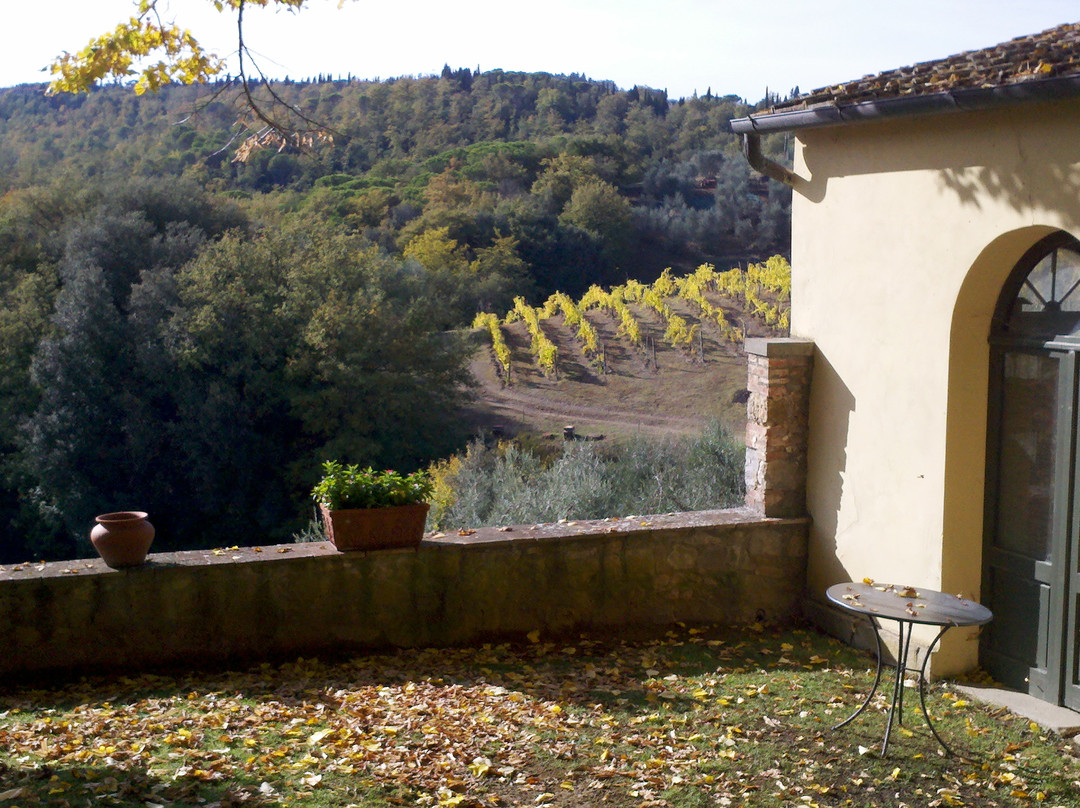 Chianti Inside Out景点图片