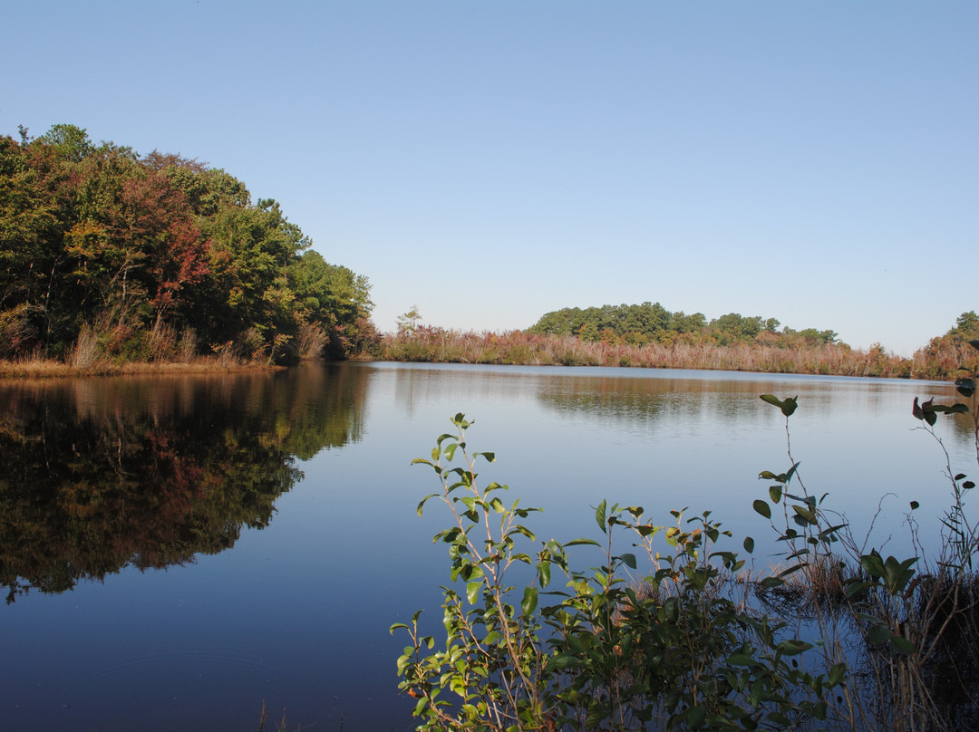 Prime Hook National Wildlife Refuge-Milton必去景点