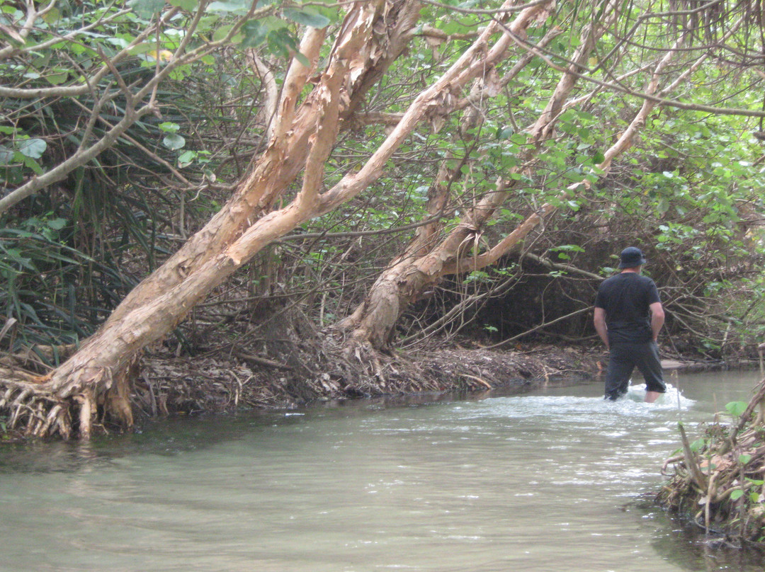 K'gari Explorer Tours-弗雷泽岛必去景点