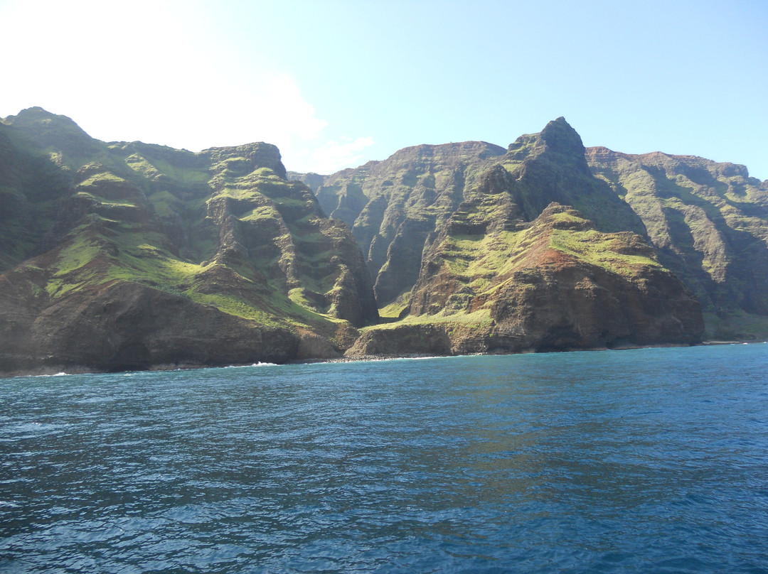 Blue Dolphin Charters-埃里埃利必去景点