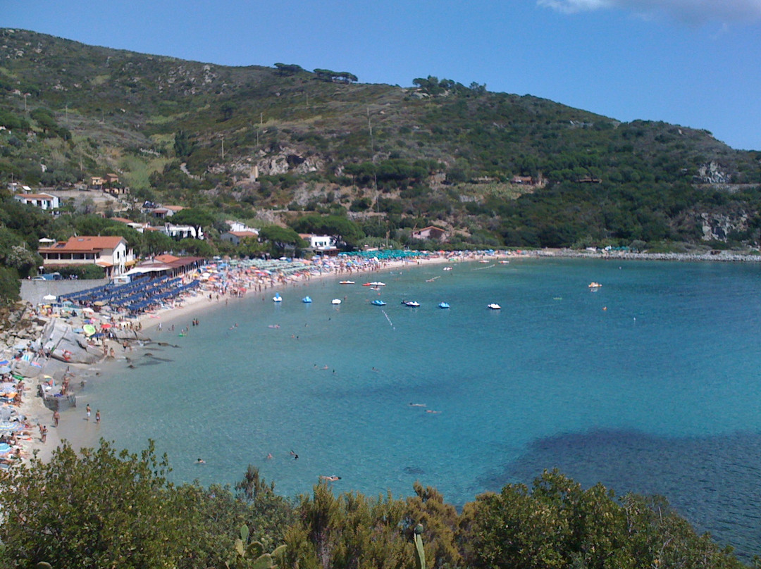 Spiaggia di Cavoli景点图片