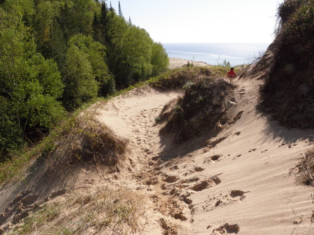 Arcadia Dunes CS Mott Nature Preserve景点图片