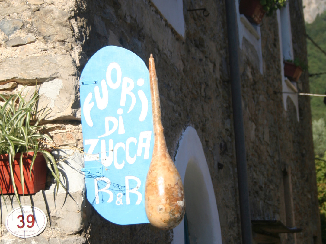 fuori di zucca